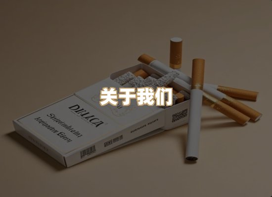 关于御龙烟网